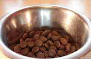 Hunde Trockenfutter Hundefutter