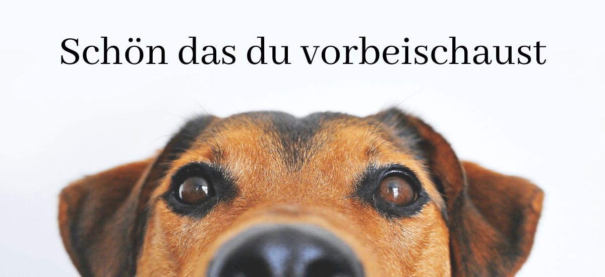 Über uns