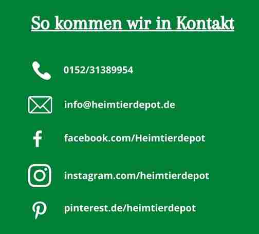 Kontakt